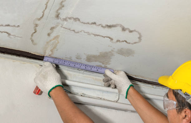 Reliable Water Damage Repair contractor in Franklin, OH by Hirex Water Damage